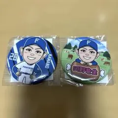 北海道日本ハムファイターズ ガチャガチャ 缶バッジ #28 河野竜生