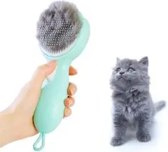 Item thumbnail for item 65c33f38-ee14-4b13-a6d9-c184548e0951