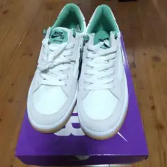 Nike SB ホワイト/グリーン スニーカー