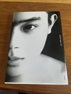 20+1 菅田将暉アーティストブック