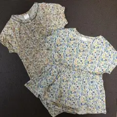 テータテート サイズ50～70 80