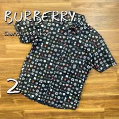Item thumbnail for item d33872b4-89ae-4f87-8bd0-39e47d9833a0