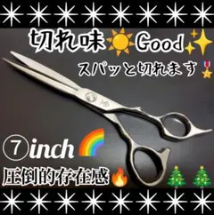Item thumbnail for item 24116342-f240-4d08-ace2-7c8245997a79