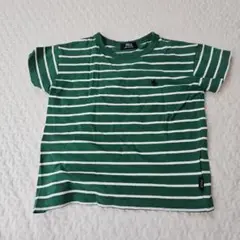 POLO. 緑白ストライプ Tシャツ 120