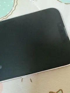 iPhone確認用