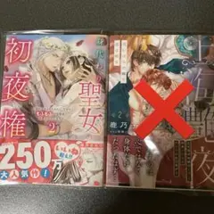 身代わり聖女の初夜権 ～国外追放されたわたし、なぜかもふもふの聖獣様に溺愛され…
