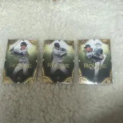 Item thumbnail for item f4357fe3-100b-4708-a45b-00012d44398c