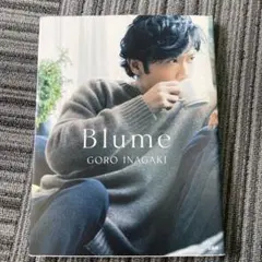 Blume Goro Inagaki タレント写真集