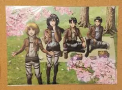 進撃の巨人　クリアファイル　お花見　リヴァイ　エレン　ミカサ　アパート
