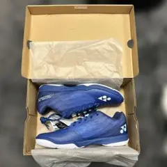バドミントンシューズエアランスＺメンズ27.5cm