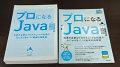 プロになるJava