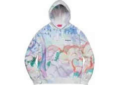 Supreme Landscape Hooded Sweatshirt 18ss