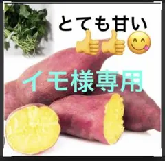 令和7年入荷分完売！】プレミアム あまはづき・サツマイモ苗