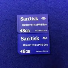 C394 SanDisk Memory Stick PRO Duo 8GB 2個