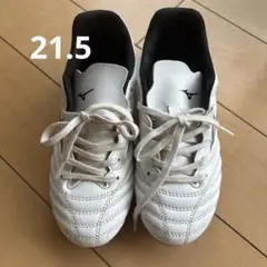 Mizuno Monarcida Neo ホワイトスパイクシューズ
