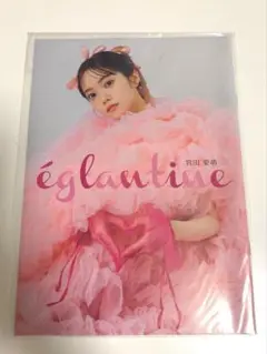 Item thumbnail for item a1fc5595-73ef-45c6-bbb2-53b3ee3b2313