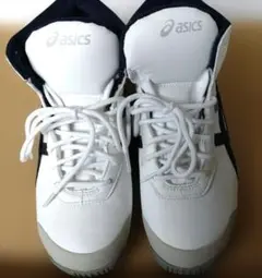 Item thumbnail for item 0e3e0830-305d-4774-80cb-b7208d628244