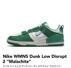 NIKE Dunk Low Disrupt2