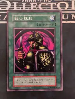 遊戯王　戦士抹殺 　型番無し　秘術の書　型番無し