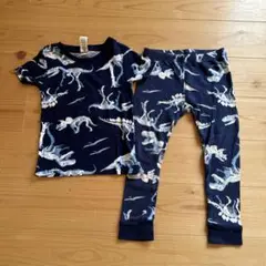 carter's 恐竜柄 3T Tシャツ・パンツセット