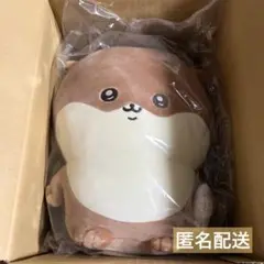 【新品 未開封】ナガノ カワウソ ぬいぐるみくじ B賞