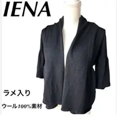 IENAウール100%ラメ入りカーディガン 羽織 ブラックFREEサイズ