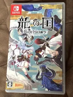 龍の国 ルーンファクトリー Switch 初回特典衣装未使用