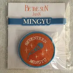 straykids ヒョンジン ペンミ stay 3期 fc トレカ 会場限定 - メルカリ