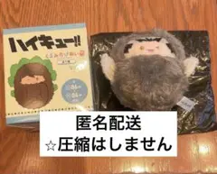 キーホルダー くるみたぴぬい vol.2 木兎光太郎　ハイキュー　たぴぬい