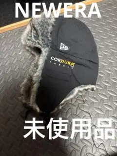 Item thumbnail for item d552b600-06c1-4b60-abeb-871a937feb66