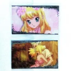 Ｄｒ．ＳＴＯＮＥ　クリアカードコレクション　コハク