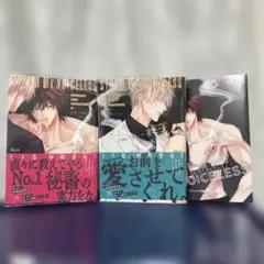 ストラム マイ ボイスレス