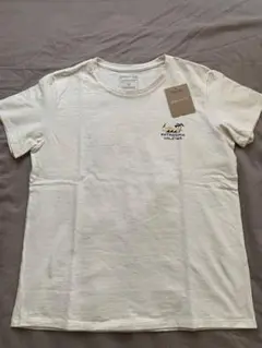 新品patagonia ハレイワ 限定Tシャツ Mサイズ