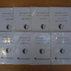 【匿名配送】ピグマリオン まず、この3つの能力を