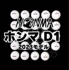 19※2023モデル ホンマD1 ロストボール 24球