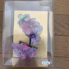 Item thumbnail for item 05c978ec-04a8-40e6-8f94-3333016fc8d9