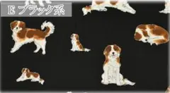 犬柄　コーイケルホンディエ　オックス生地　1m コスモテキスタイル
