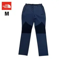 Item thumbnail for item 8a6fbc55-d55d-4c3f-ba33-1eed16487462