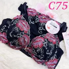 Item thumbnail for item 45382c94-3e2d-4ff2-a521-2ab3142165ca