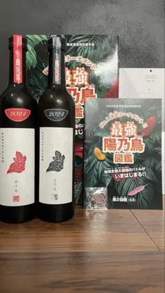 【数量限定　再販無　希少】　新政・頒布会第二弾　2025 おまけ付き 新政 頒布会2025 第二弾｜Yahoo!フリマ（旧PayPayフリマ）