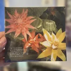 Kazumasa Hashimoto / yupi