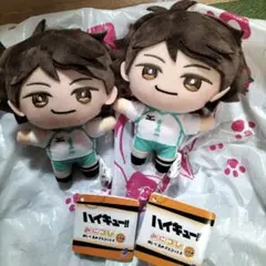 ハイキュー!! みにコレ！ぬいぐるみマスコット3 及川徹　2体セット