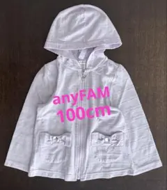 anyFAM パーカー 100