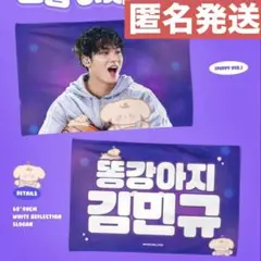 seventeen セブチ　ミンギュ　マスター　スローガン　未使用