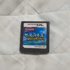 サバイバルキッズ　LOST in BLUE DS ソフト