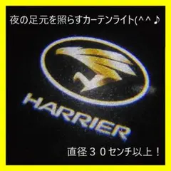 ハリアー カーテシライト カーテシランプ LED 2個セット