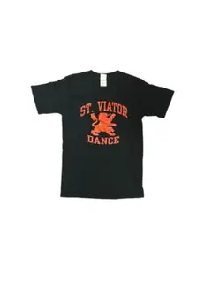 【値下げしました】GILDAN tシャツ　ブラック　古着