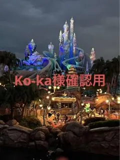 Ko-ka様確認用