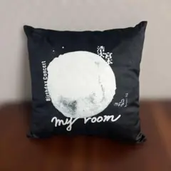 宮本浩次Birthday Concert my room クッション