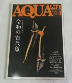 Item thumbnail for item 7628f9ca-52ed-4f5b-a882-4dd46d5a45bd